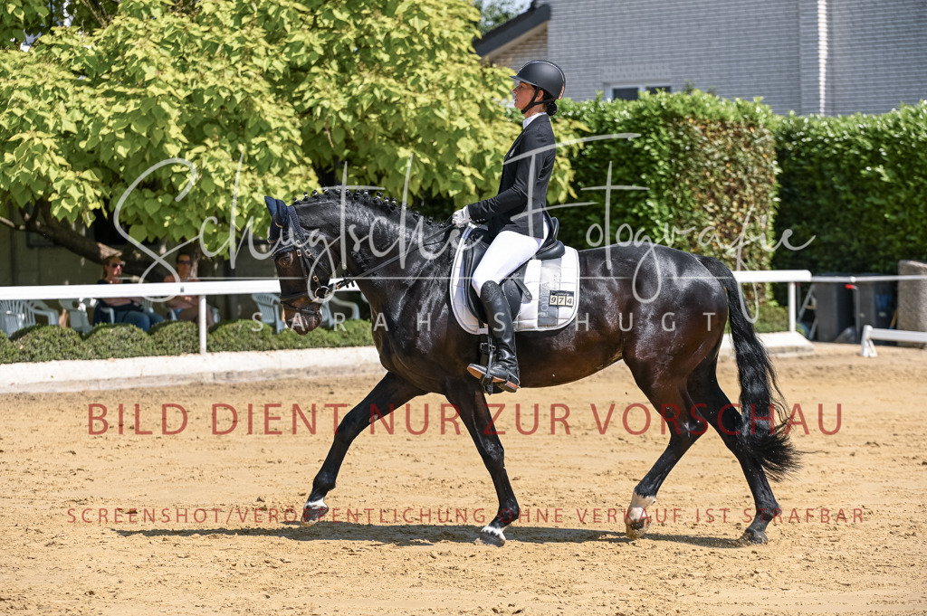 Schugtsche-Aluta25-53.Amat.Dressurprf.A2-151 | Schugtsche Fotografie - Realisiert mit Pictrs.com