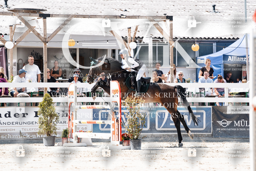 CK909651 | Turnierfotografie Pferdefotografie Trier Rheinland-Pfalz Pferdesport Reitsport Tierfotografie Sportfotografie Pferdevideo Pferdevideografie Equestrianvideography equestrianphotography  - Realisiert mit Pictrs.com