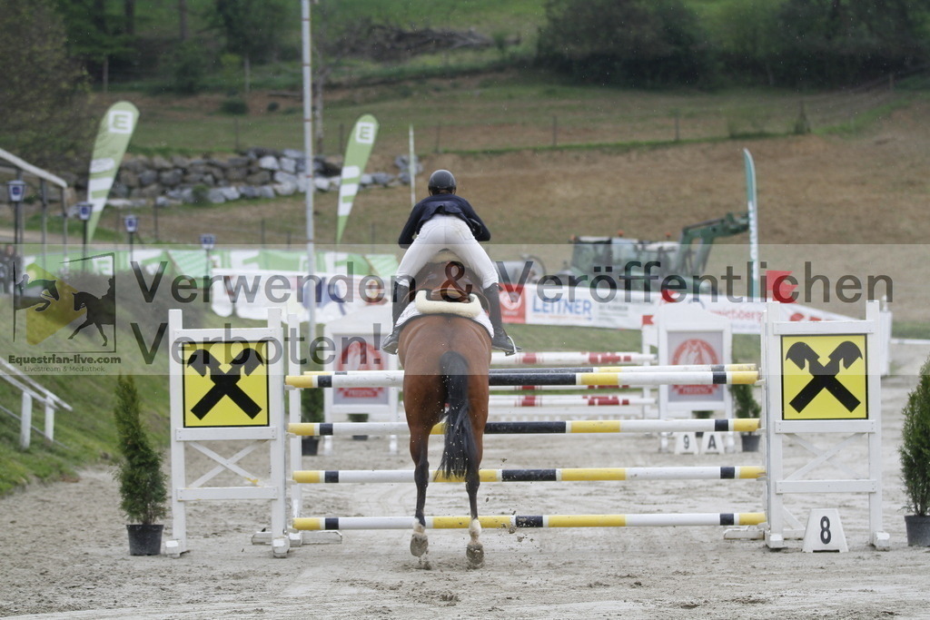 _MG_3329 | equestrian-live-com