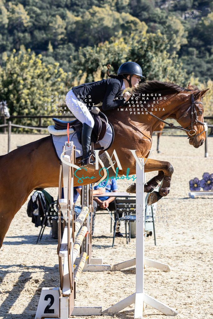 IMG_6493 | s-jay-photography - Realisiert mit Pictrs.com