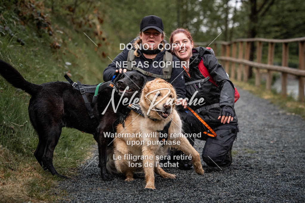 nelerasche_SaAbends_339 | nelerasche