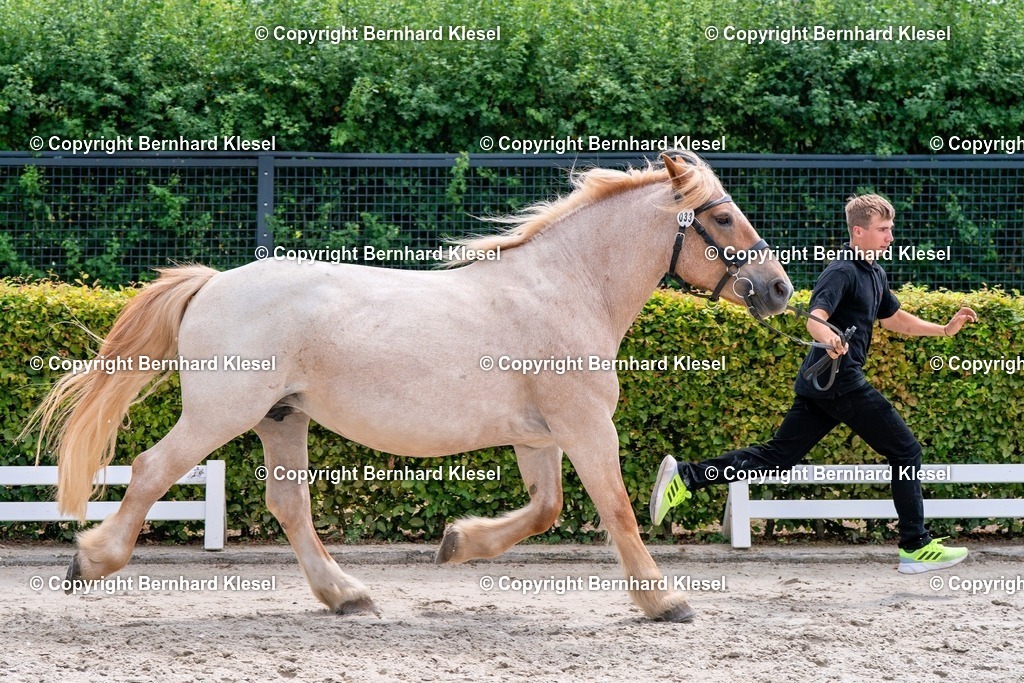 2A901376 | foto-team-bernhard - Realisiert mit Pictrs.com