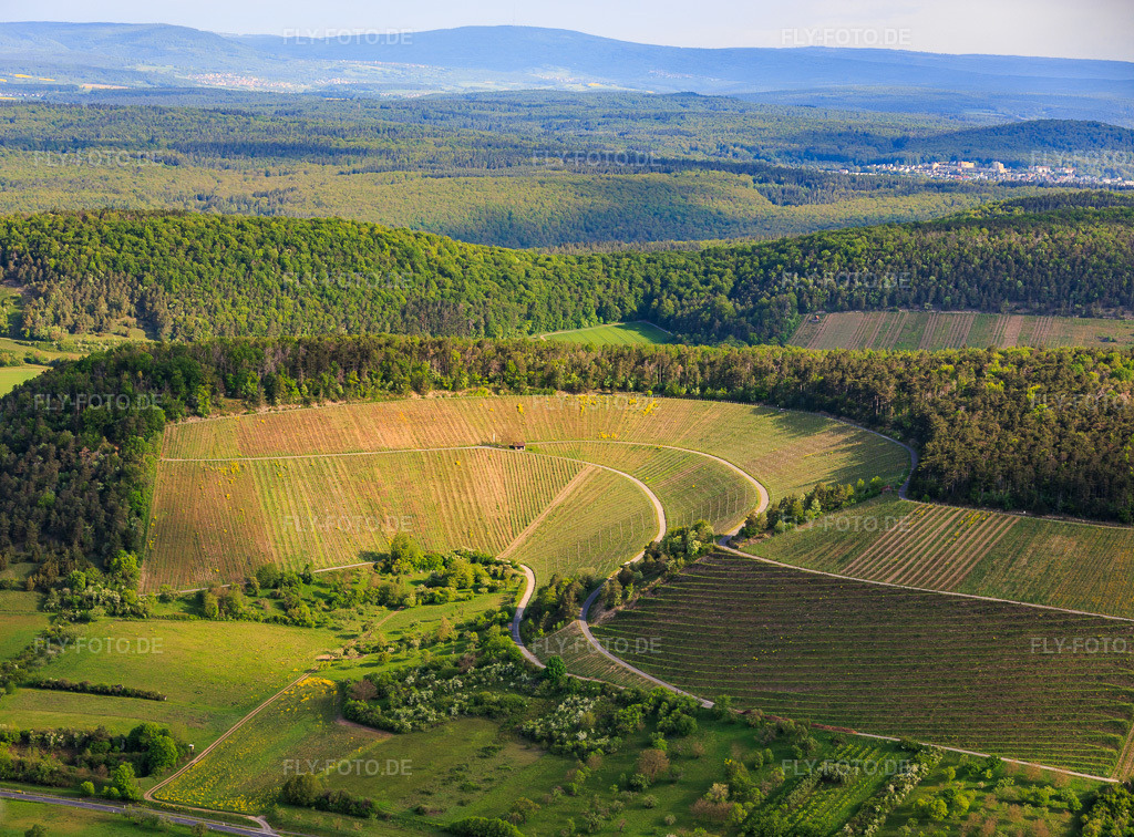 Luftbild: Weinberge zwischen Tal und Wald aus Süden in Ramsthal im Bundesland Bayern in Deutschland. – Foto: IMG_156045.jpg vom 03.05.2026 durch Werner Riehm/FLY-FOTO.de – Auflösung des Originals: 5417 x 4000 px