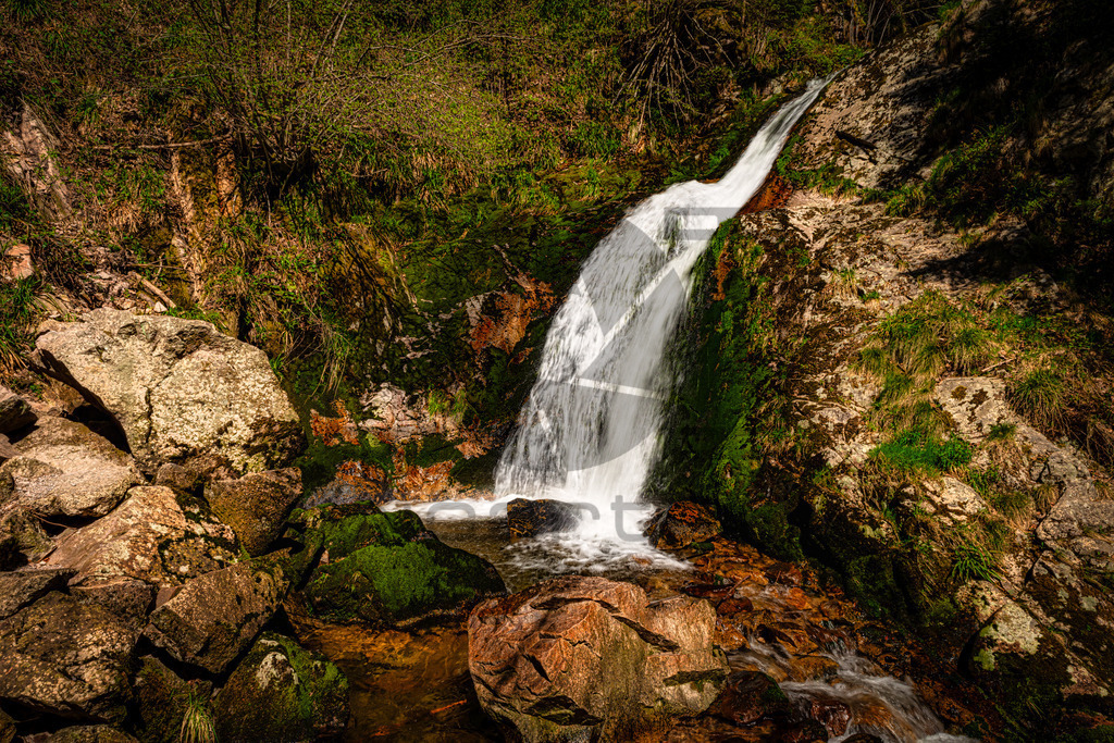 Allerheiligen Wasserfälle | Diese Wasserfälle gehören zu den größten und schönsten im Schwarzwald. Man fühlt sich fast wie im Hochgebirge Österreichs oder der Schweiz. Der 1840 erschlossene Wasserfall fällt über mehrere Ebenen knapp 90 Meter in die Tiefe während Wanderer ihn auf seinem Weg auf Pfaden, Treppen und über Brücken hinweg begleiten können. - Realisiert mit Pictrs.com