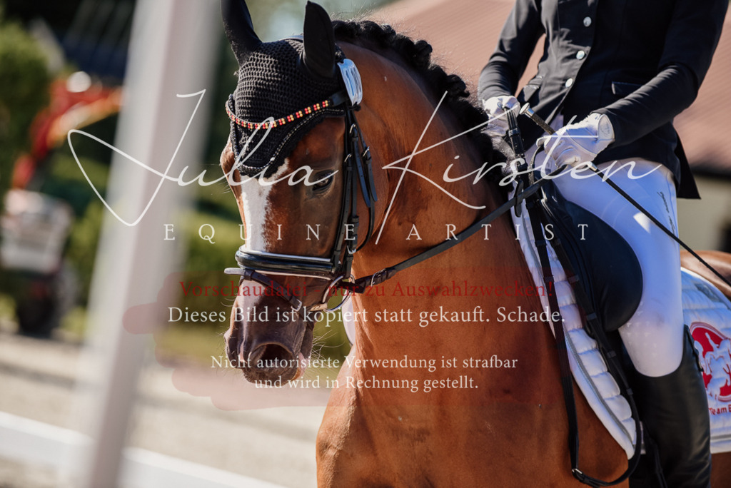 DSC_0335 | Pferde- und Turnierfotografie in Westsachsen. Pferdeportraits, Auftragszeichnungen und intuitive Kunst.