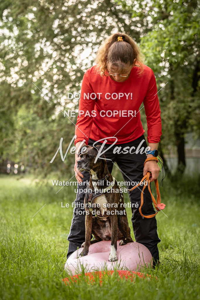 nelerasche_So-earlydog_93 | nelerasche