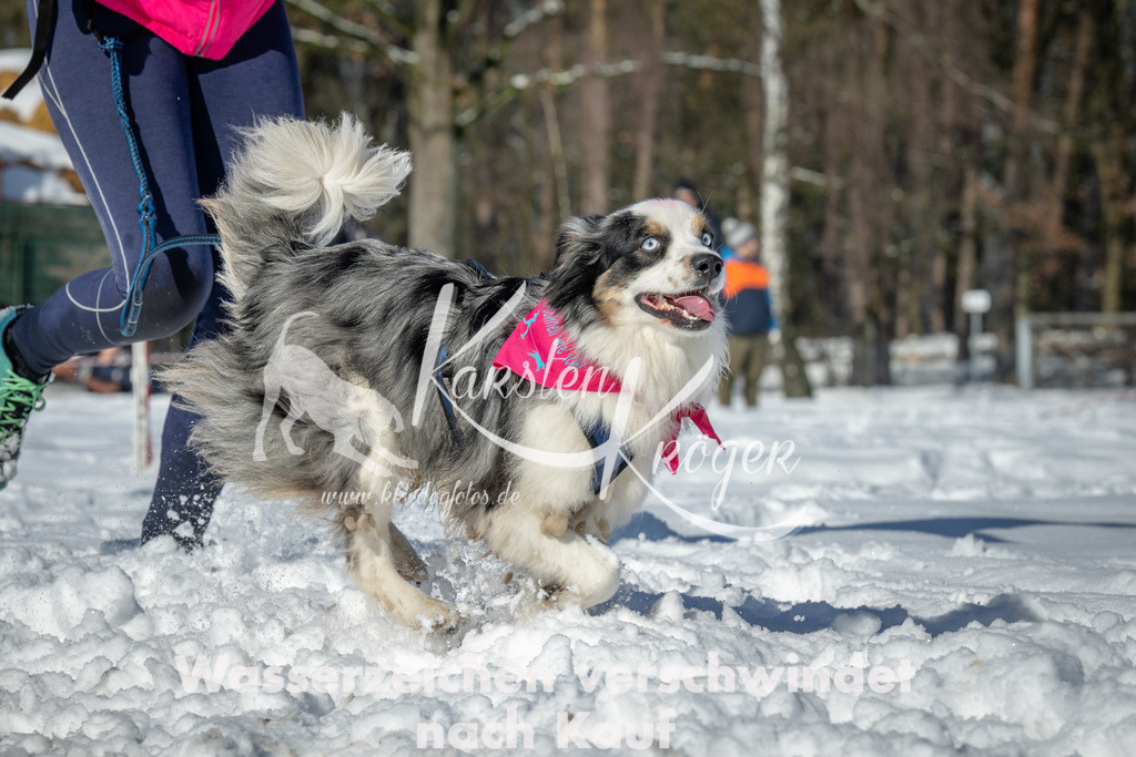 1104_ZZ94780-2 | kk-dogfotos