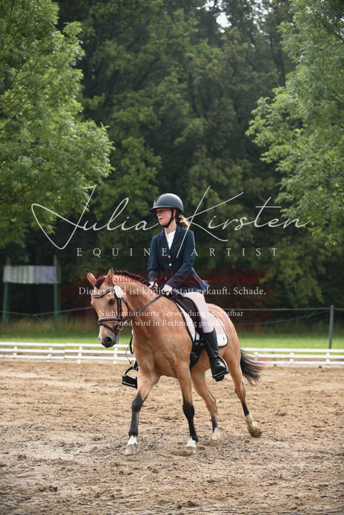 DSC_0080 | Pferde- und Turnierfotografie in Westsachsen. Pferdeportraits, Auftragszeichnungen und intuitive Kunst.
