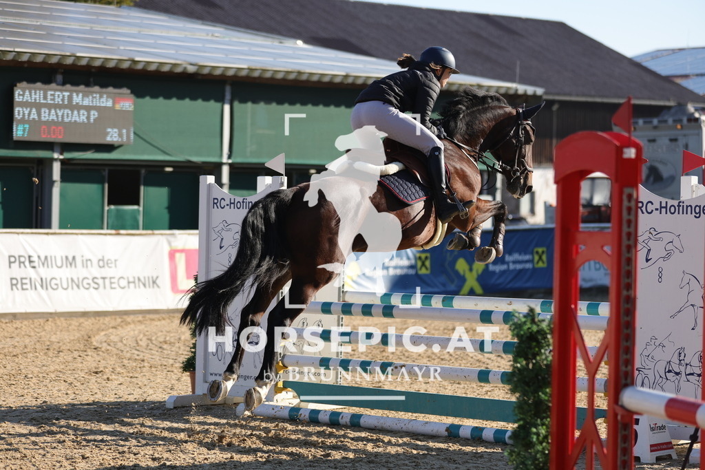 0P6A8858 | Willkommen bei Brunnmayr - Design & Fotografie – Ihrem Spezialisten für Reitturniere und Pferdeveranstaltungen in Oberösterreich, Salzburg und Bayern! Seit über 17 Jahren sind wir leidenschaftlich dabei.