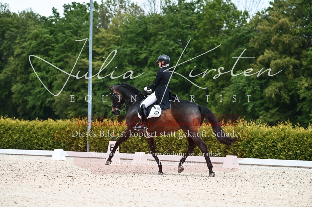 20230514_JK-Röhrsdorf-21-059 | Pferde- und Turnierfotografie in Westsachsen. Pferdeportraits, Auftragszeichnungen und intuitive Kunst.