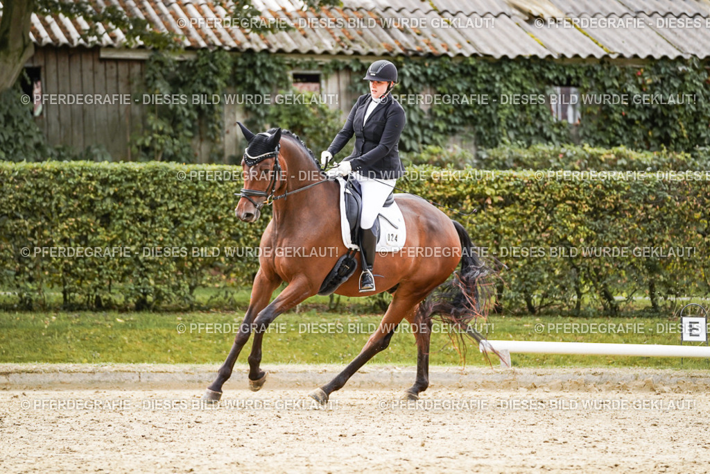 DSC09166 | Pferdegrafie