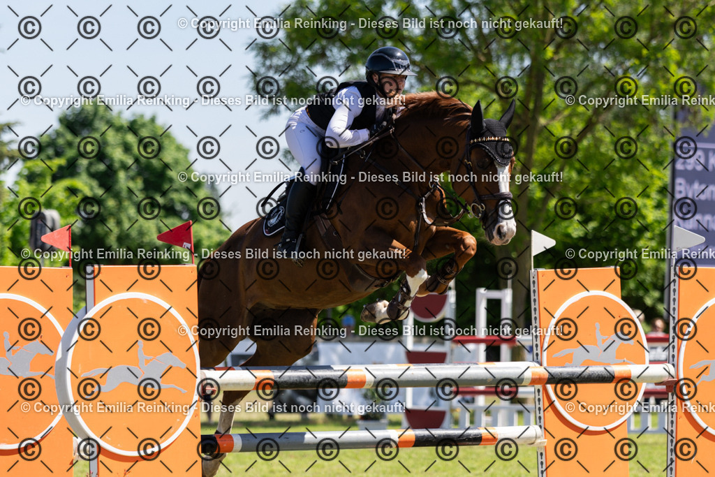 CL5A1142 | Emilia Reinking Fotografie - Realisiert mit Pictrs.com