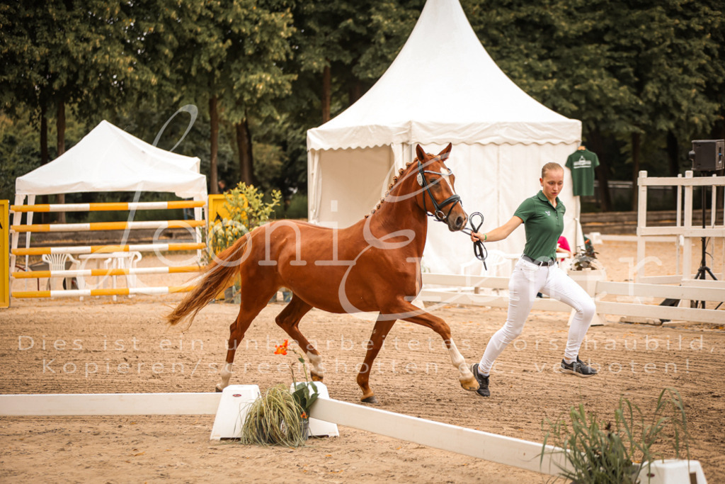 07.So00071 | Leoni Ertmer Photography - Realisiert mit Pictrs.com