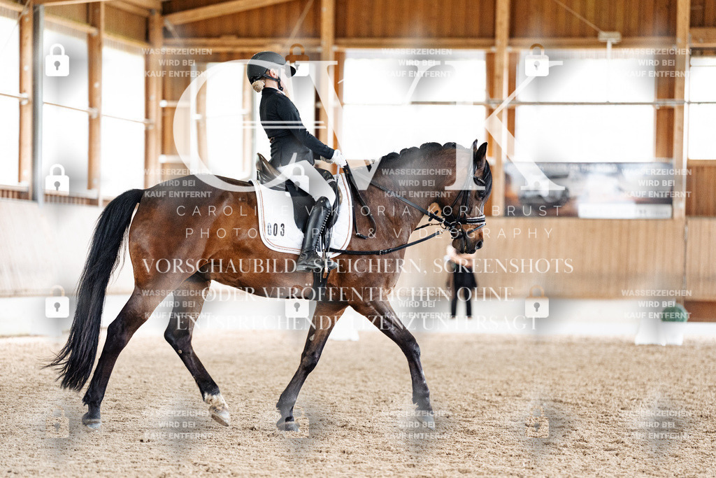 CK901701 | Turnierfotografie Pferdefotografie Trier Rheinland-Pfalz Pferdesport Reitsport Tierfotografie Sportfotografie Pferdevideo Pferdevideografie Equestrianvideography equestrianphotography  - Realisiert mit Pictrs.com