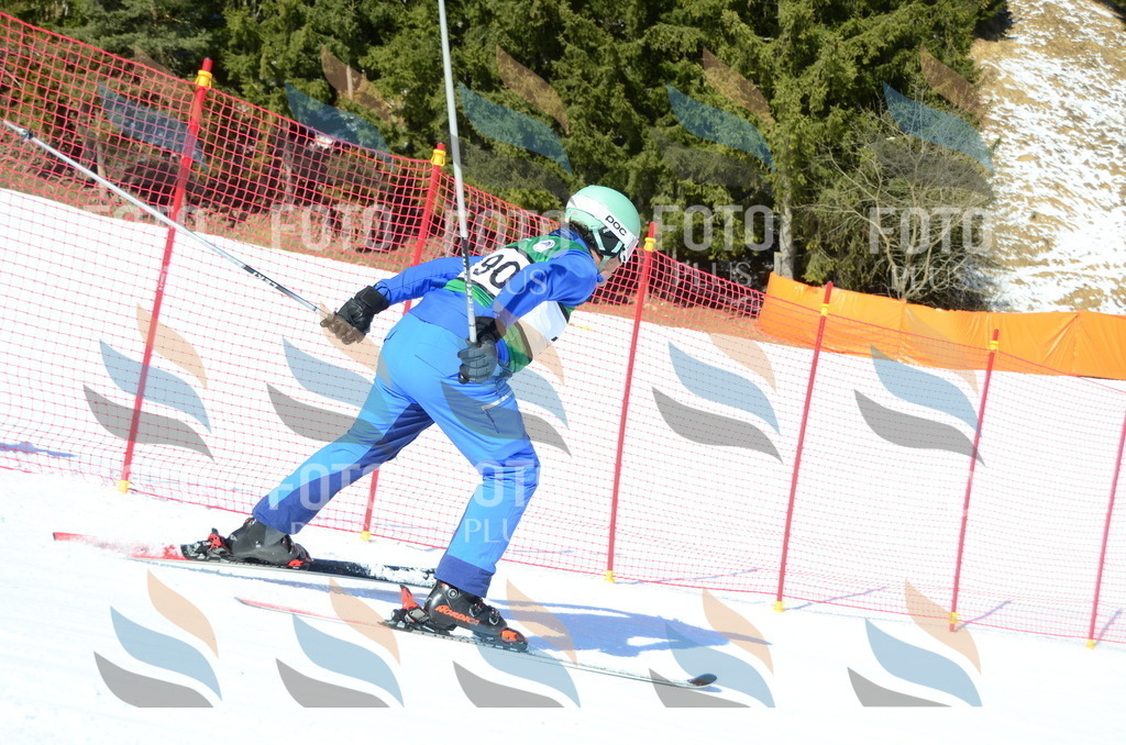 C6507 | holidayphoto