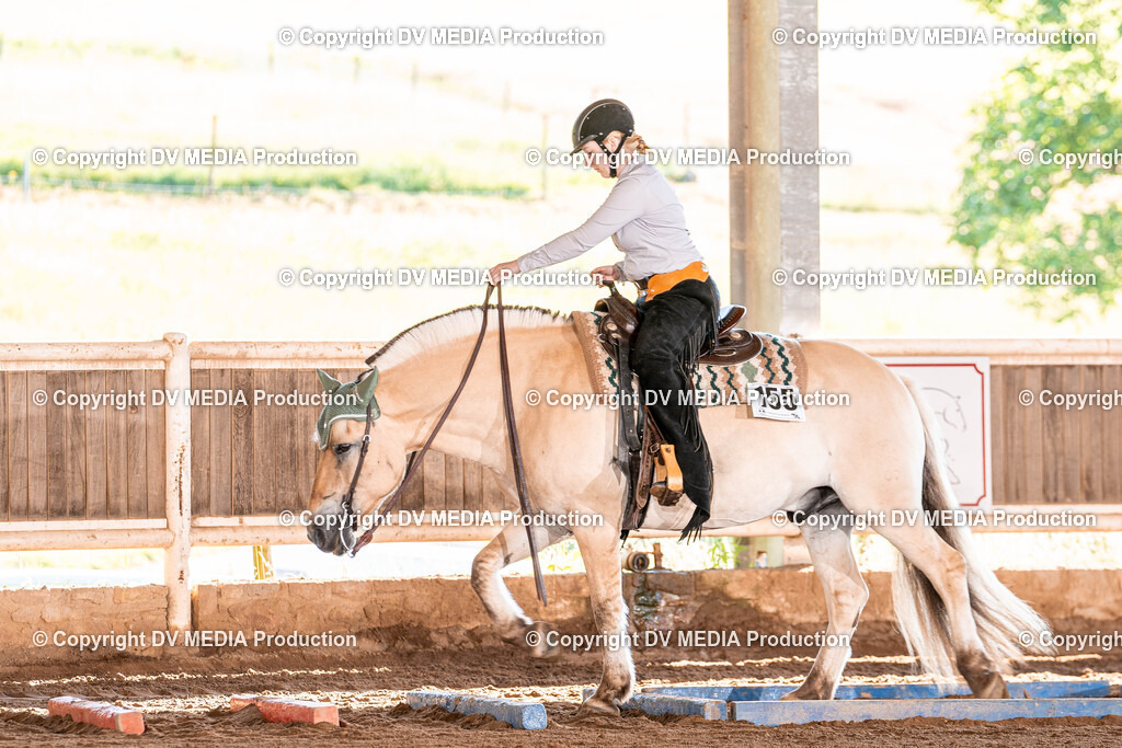 Erbach Tag 2-86 | dv-media-shop - Realisiert mit Pictrs.com