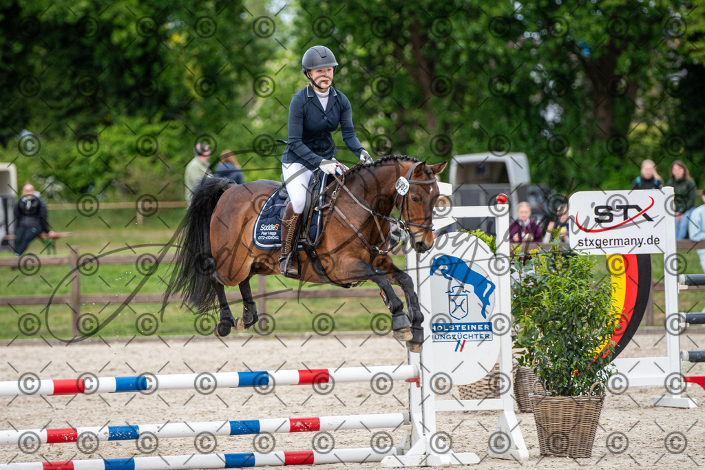 KPT_6324 | andre_photographic