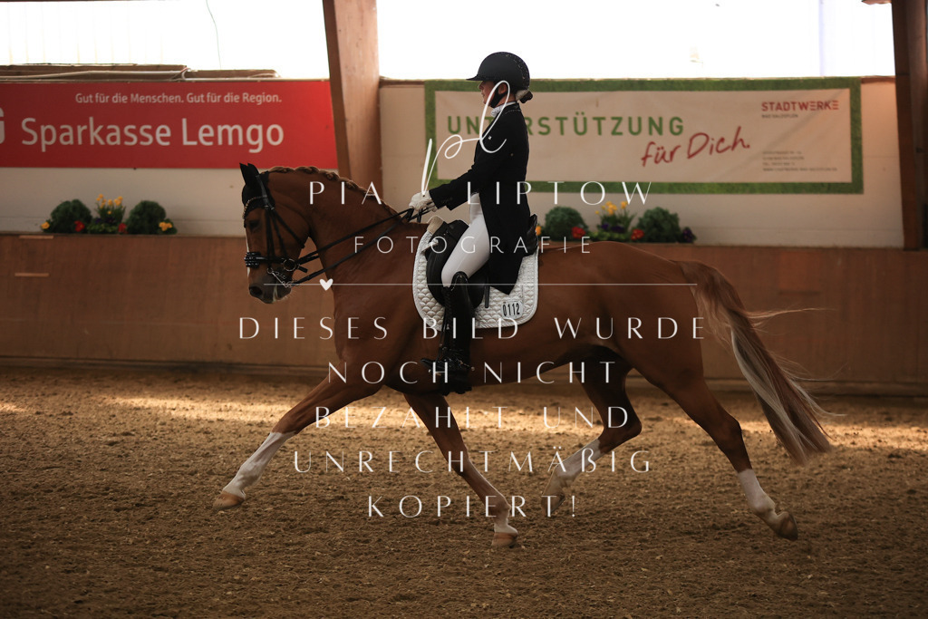 IMGT4644 | pl-fotografie