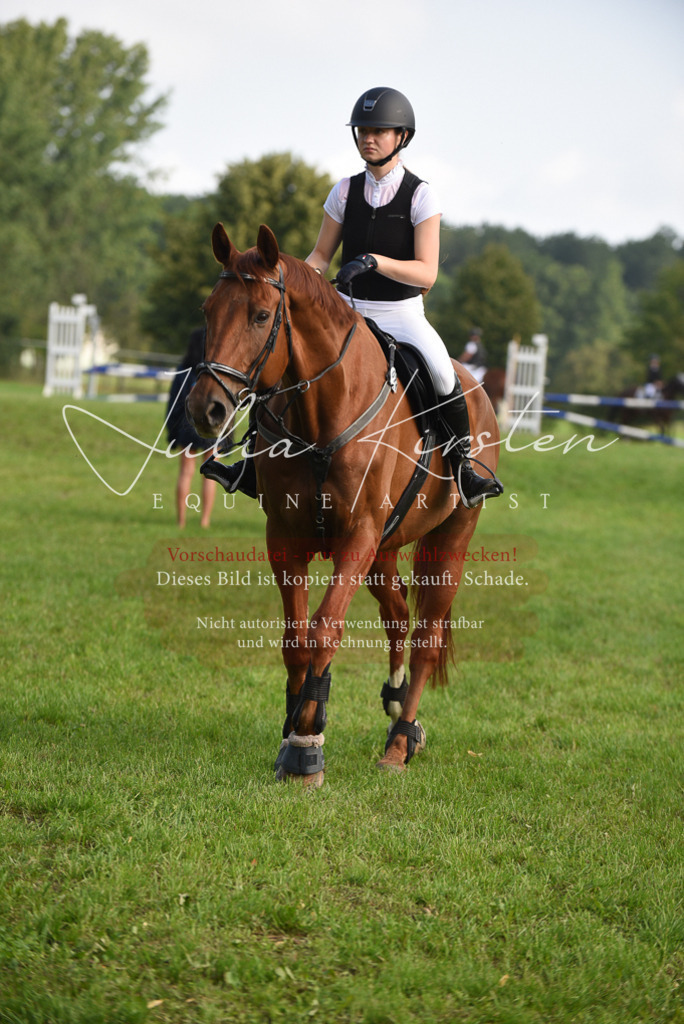 DSC_8549 | Pferde- und Turnierfotografie in Westsachsen. Pferdeportraits, Auftragszeichnungen und intuitive Kunst.