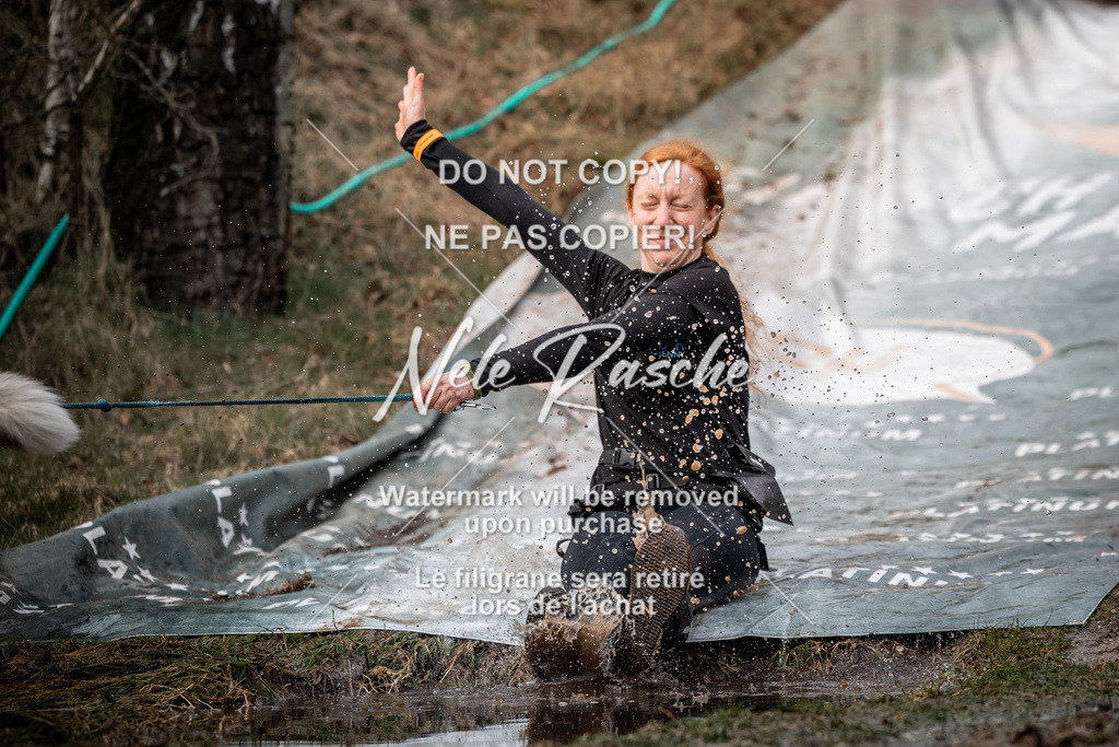 nelerasche_1400-1430_73 | nelerasche