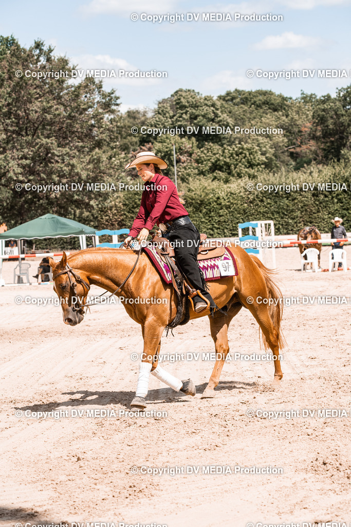 ZS3_0035 | dv-media-shop - Realisiert mit Pictrs.com