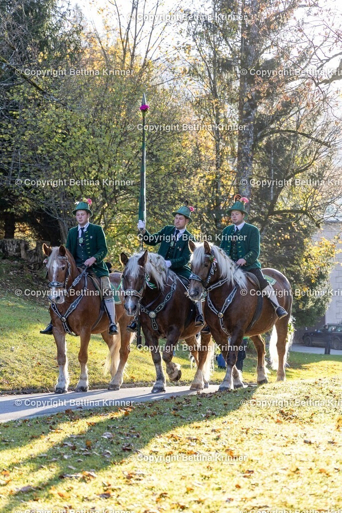 LL24-144 | foto-bettina-krinner - Realisiert mit Pictrs.com