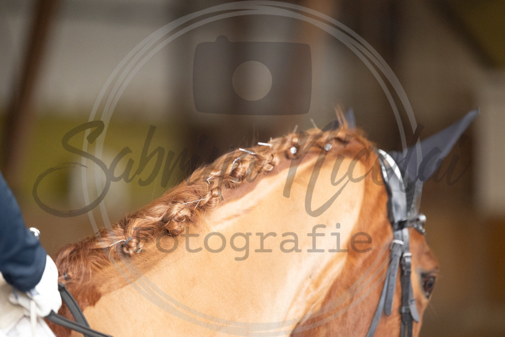 994A8864 | sabrinanicolaifotografie - Realisiert mit Pictrs.com