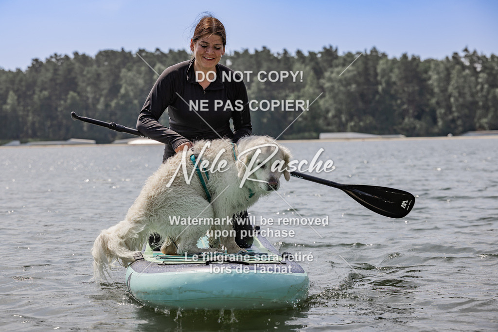 BUHU_SUP_694 | nelerasche