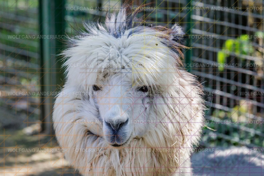 2026414-123346Zoo_Frankfurt100L0761_finish | Im Zoo Frankfurt zeigt sich genau das: kleine Momente, echte Begegnungen, ungefilterte Emotion. - Realisiert mit Pictrs.com