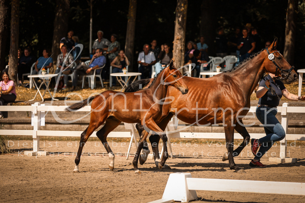 07.DoWBS00021 | Leoni Ertmer Photography - Realisiert mit Pictrs.com