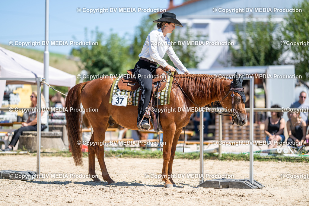 LM Heiligenwald Tag 1-1431 | dv-media-shop - Realisiert mit Pictrs.com