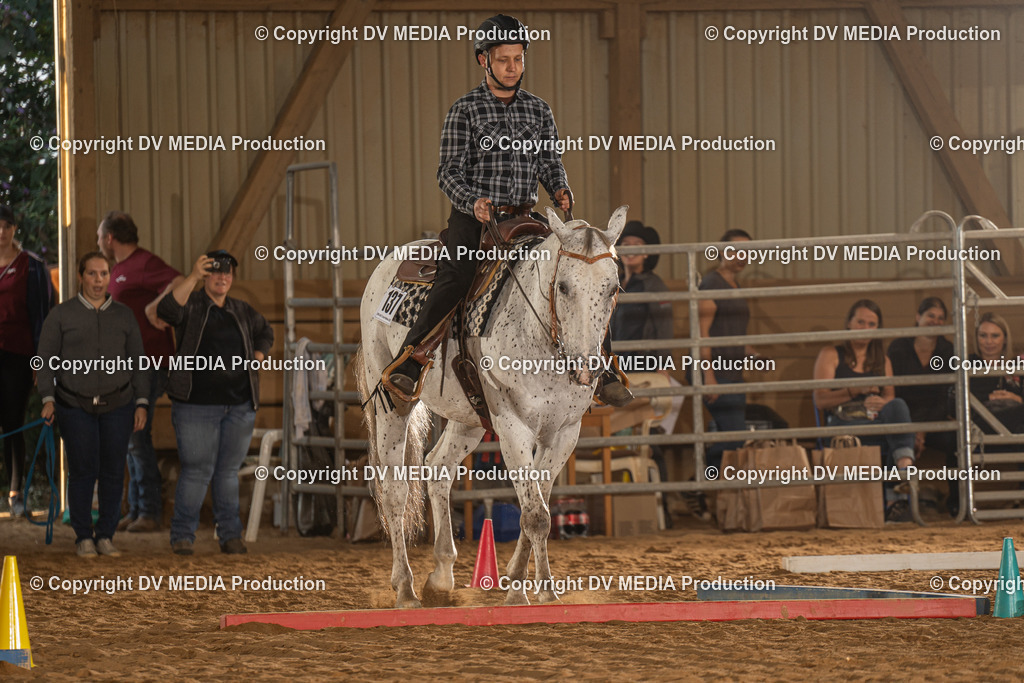 NID02475 | dv-media-shop - Realisiert mit Pictrs.com