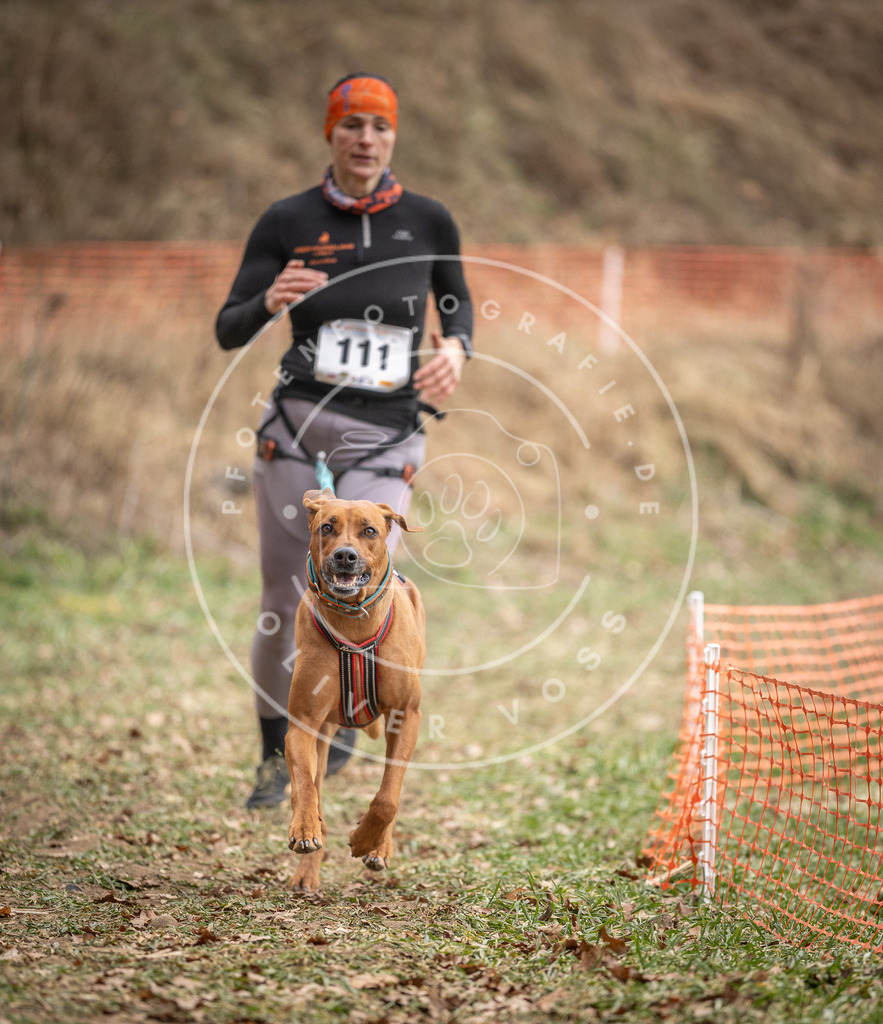 Pfotenfotografie_DV3A7529 | Hundefotografie, Tierfotograf, Pfotenfotografie, Fotoshooting Hund, Hunde Portrait, Hundesport, Hundeportraits, Heideshooting, Hunde, Sportfotograf, Hundefotograf, Turnierhundsport, THS,  - Realisiert mit Pictrs.com