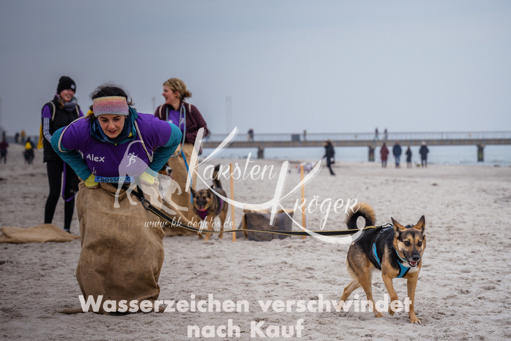 1222_ZZ93785 | kk-dogfotos