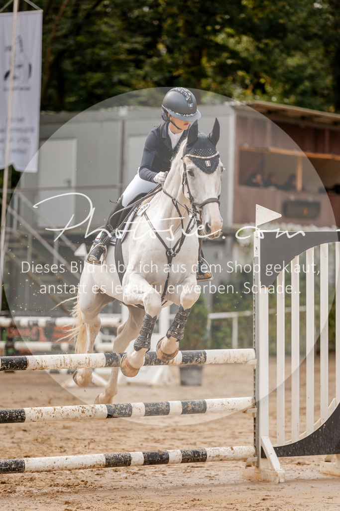 3I6A6741 | Stimmungsvolle Portraits und Reitsportfotografie im Ruhrgebiet und im Münsterland.

Pferdefotografie, Hundefotografie, Tierfotografie, Reportagen, Portraits von Tier und Mensch, Turnierfotografie in Bochum, Recklinghausen, Marl, Haltern am See, Dülmen.. - Realisiert mit Pictrs.com