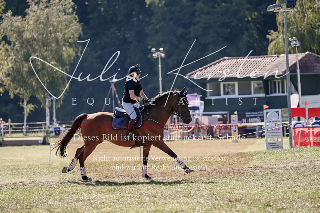 DSC_3362 | Pferde- und Turnierfotografie in Westsachsen. Pferdeportraits, Auftragszeichnungen und intuitive Kunst.