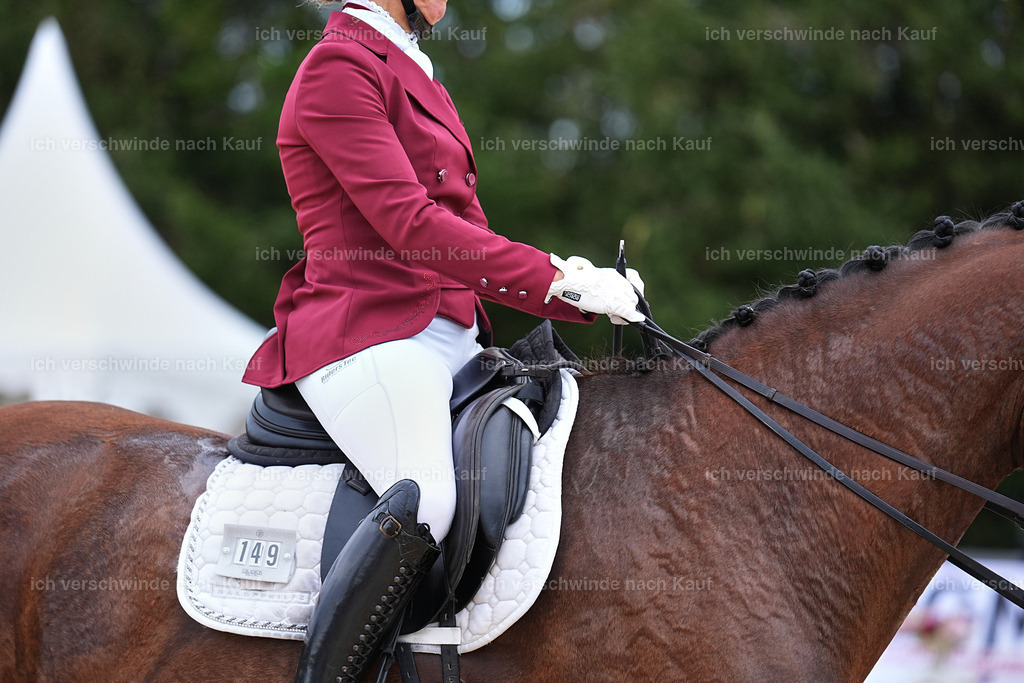 04_1-149-Dressur M__ -Marixx-2793 | working equitationturnier fotograf videograf stoibphotography marixx film working equitation deutschland reitsport turnierfotografie eventfotografie equestrian events