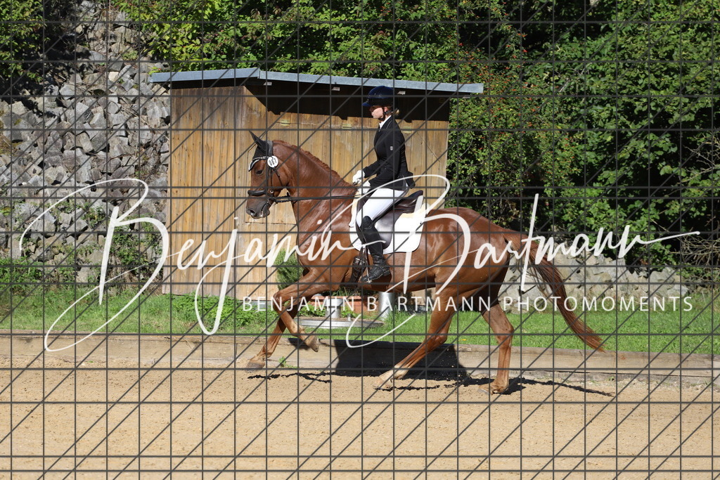 IMG_5141 | Benjamin Bartmann Photomoments