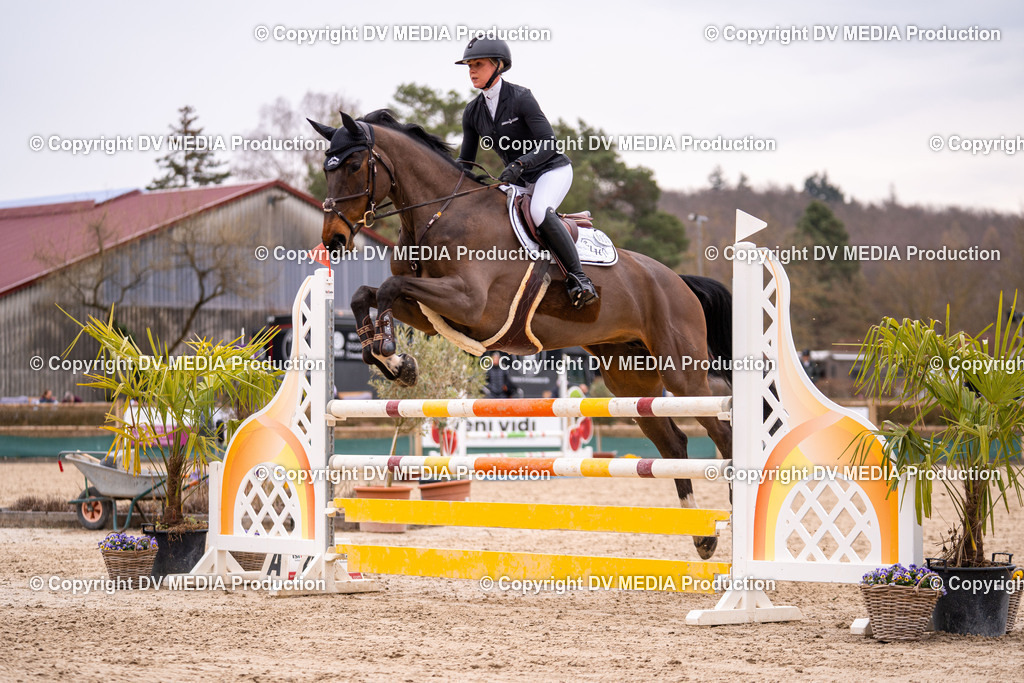 Kranichstein Tag 2-226 | dv-media-shop - Realisiert mit Pictrs.com