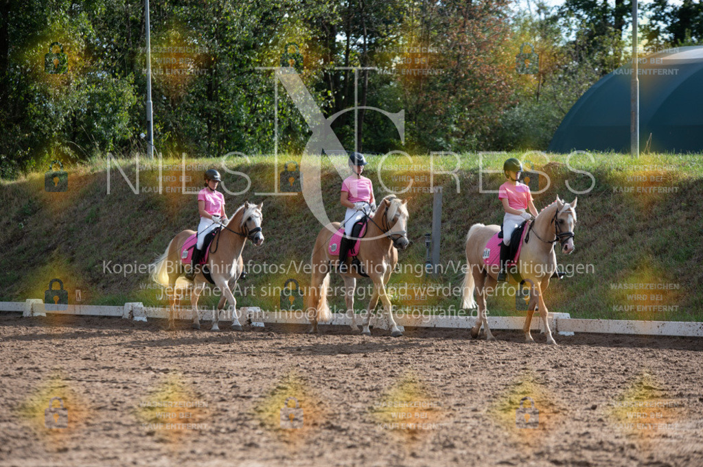 DSC_6891 | Nils Cress - Fotografie - Realisiert mit Pictrs.com