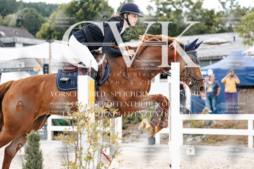 CK902668 | Turnierfotografie Pferdefotografie Trier Rheinland-Pfalz Pferdesport Reitsport Tierfotografie Sportfotografie Pferdevideo Pferdevideografie Equestrianvideography equestrianphotography  - Realisiert mit Pictrs.com