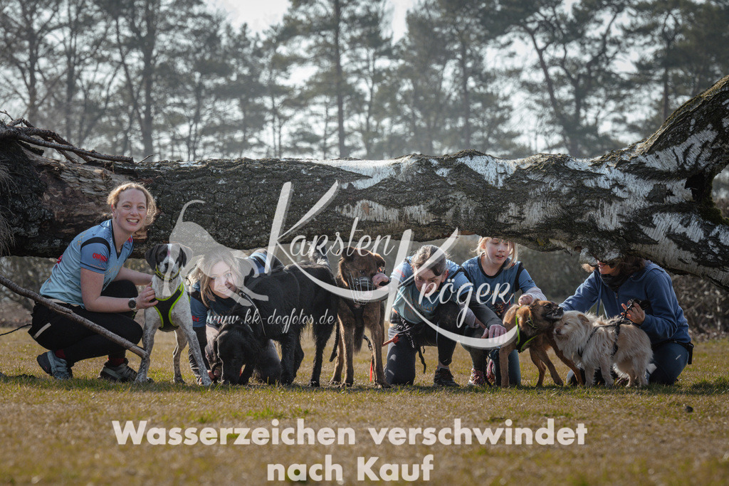 1109_ZZ94734 | kk-dogfotos