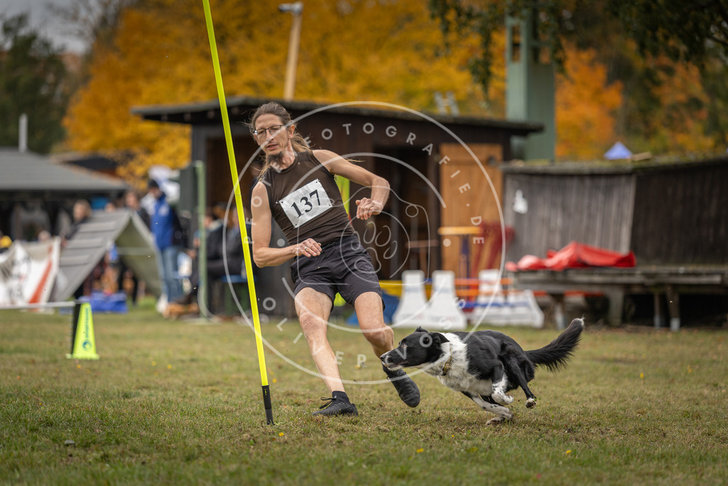 Pfotenfotografie_DV3A7867 | Hundefotografie, Tierfotograf, Pfotenfotografie, Fotoshooting Hund, Hunde Portrait, Hundesport, Hundeportraits, Heideshooting, Hunde, Sportfotograf, Hundefotograf, Turnierhundsport, THS,  - Realisiert mit Pictrs.com