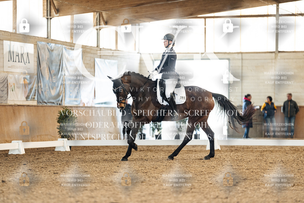 CK908811 | Turnierfotografie Pferdefotografie Trier Rheinland-Pfalz Pferdesport Reitsport Tierfotografie Sportfotografie Pferdevideo Pferdevideografie Equestrianvideography equestrianphotography  - Realized with Pictrs.com