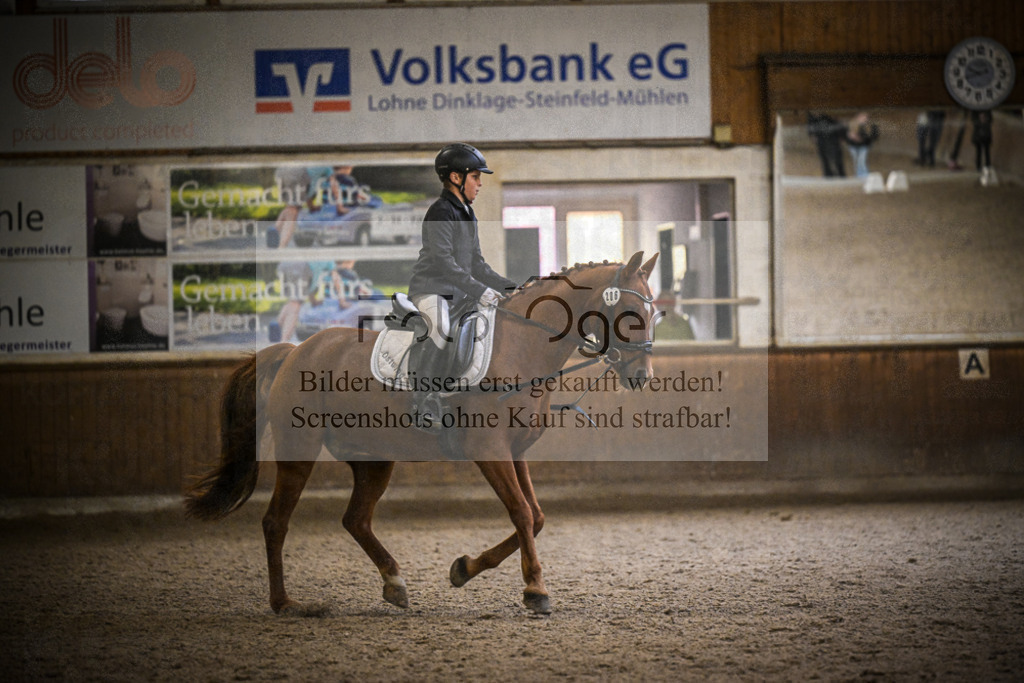 DOS_1314 | Entdecke hochwertige Reitturnierfotos von Foto Oger. Professionell, emotional und authentisch – jetzt Lieblingsmomente im Shop bestellen.Deutschlandweite Turnierfotografie. - Realisiert mit Pictrs.com