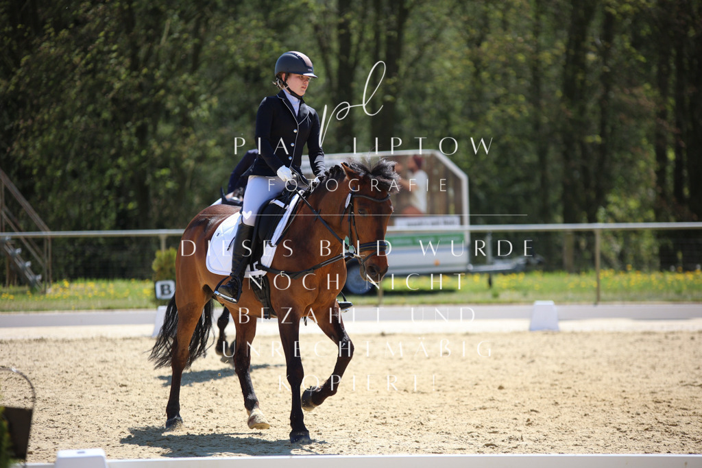 IMGT0828 | pl-fotografie