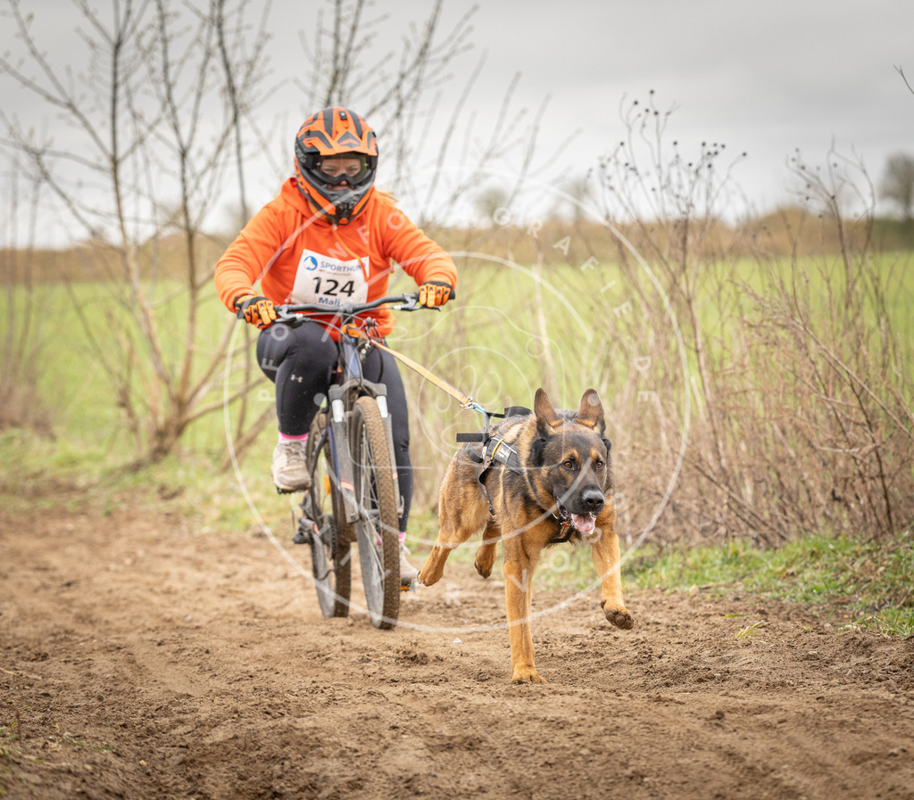 DV3A1050 | Hundefotografie, Tierfotograf, Pfotenfotografie, Fotoshooting Hund, Hunde Portrait, Hundesport, Hundeportraits, Heideshooting, Hunde, Sportfotograf, Hundefotograf, Turnierhundsport, THS,  - Realisiert mit Pictrs.com