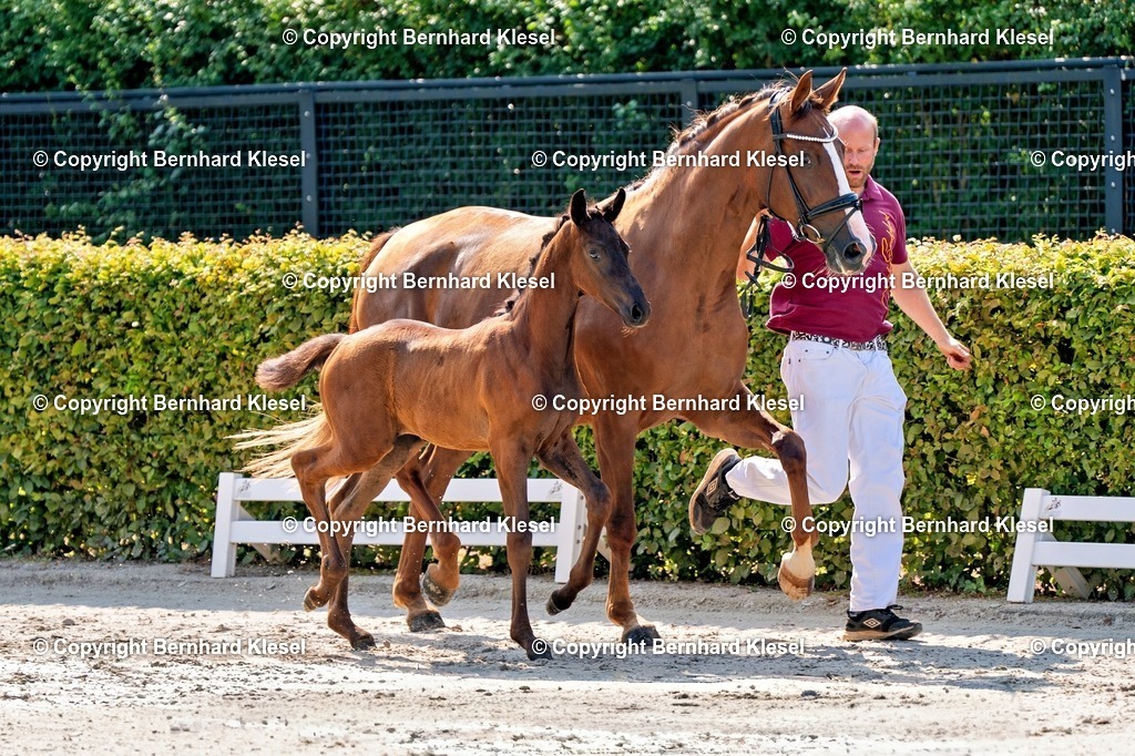 2A908874 | foto-team-bernhard - Realisiert mit Pictrs.com