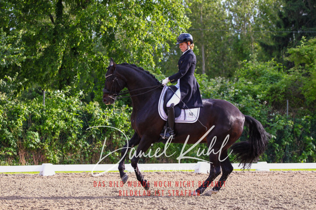 DKP41741 | Deine Turnierfotos vom Reitturnier online kaufen: Dressur, Springen & Siegerehrung. Professionelle Pferdefotografie aus dem Rheinland – als Download & Print.Alternative: Turnierfotograf für den Pferdesport: Finde deine Fotos von Dressur- und Springturnier