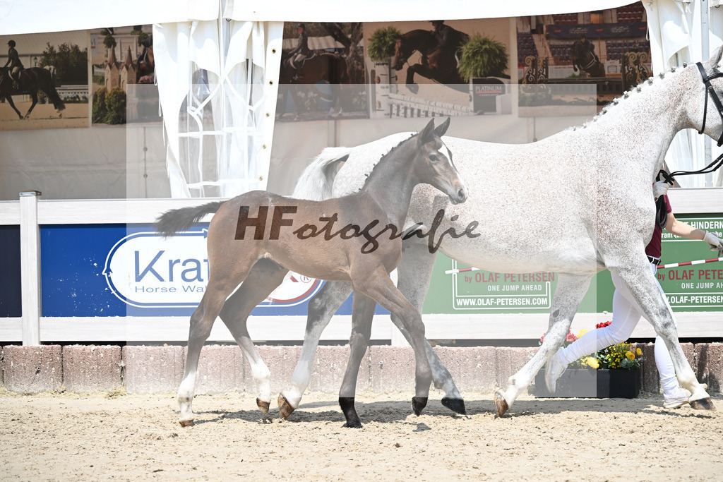 Cornets Balou x Casall_Gross_12250706 | hf-fotografie - Realisiert mit Pictrs.com